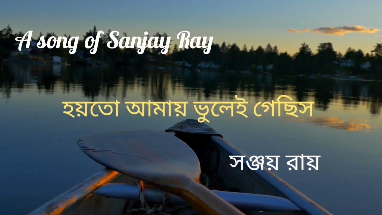 হয়তো আমায় ভুলেই গেছিস 