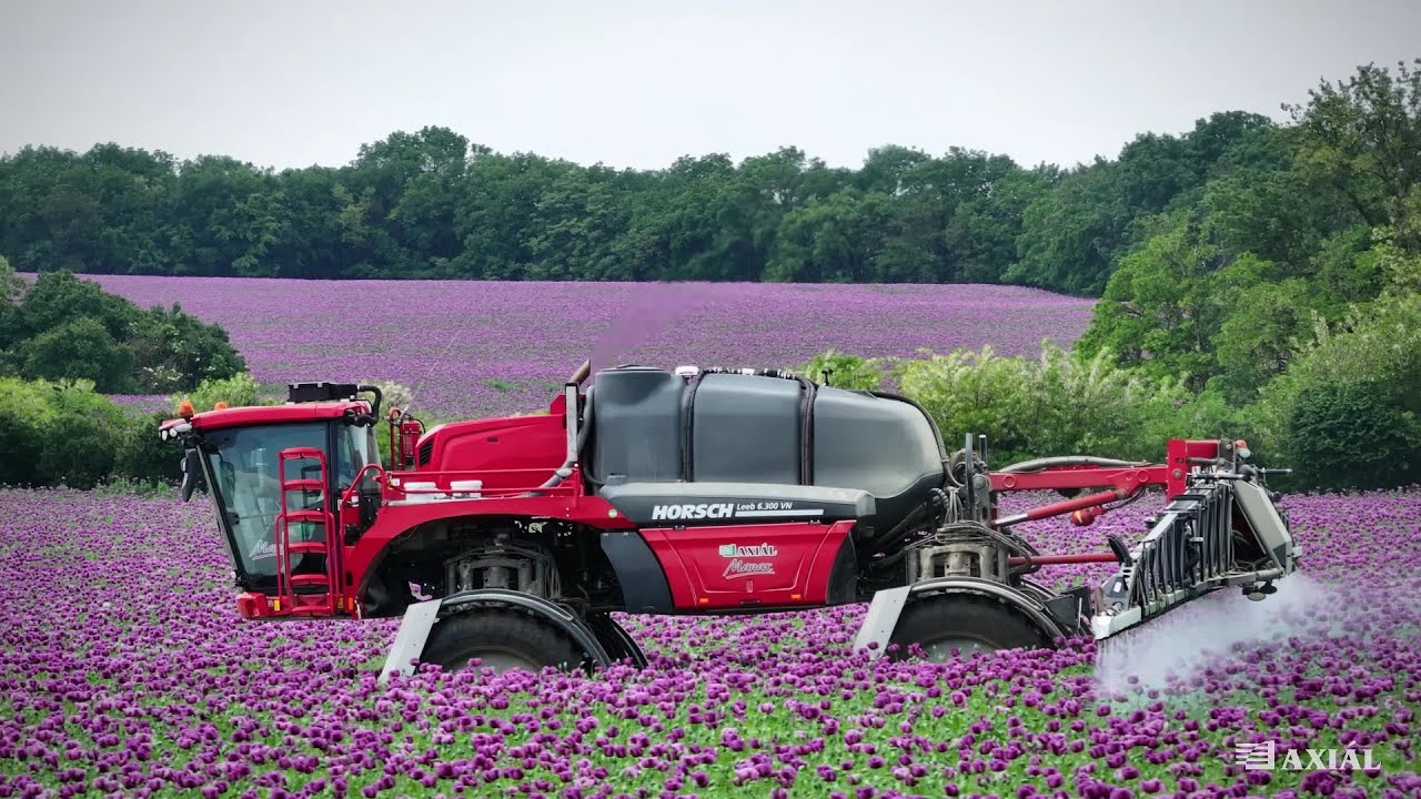 HORSCH Leeb 6.300 VN by Manax [repce, mák, búza, napraforgó]