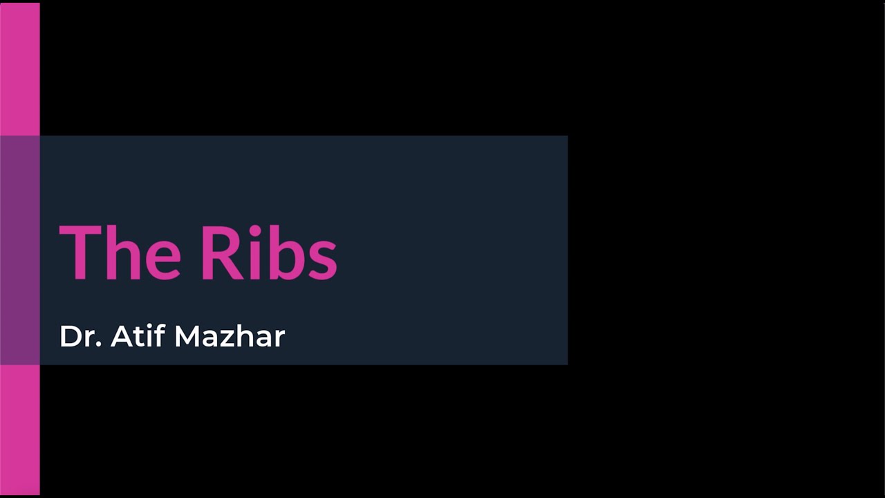 The Ribs