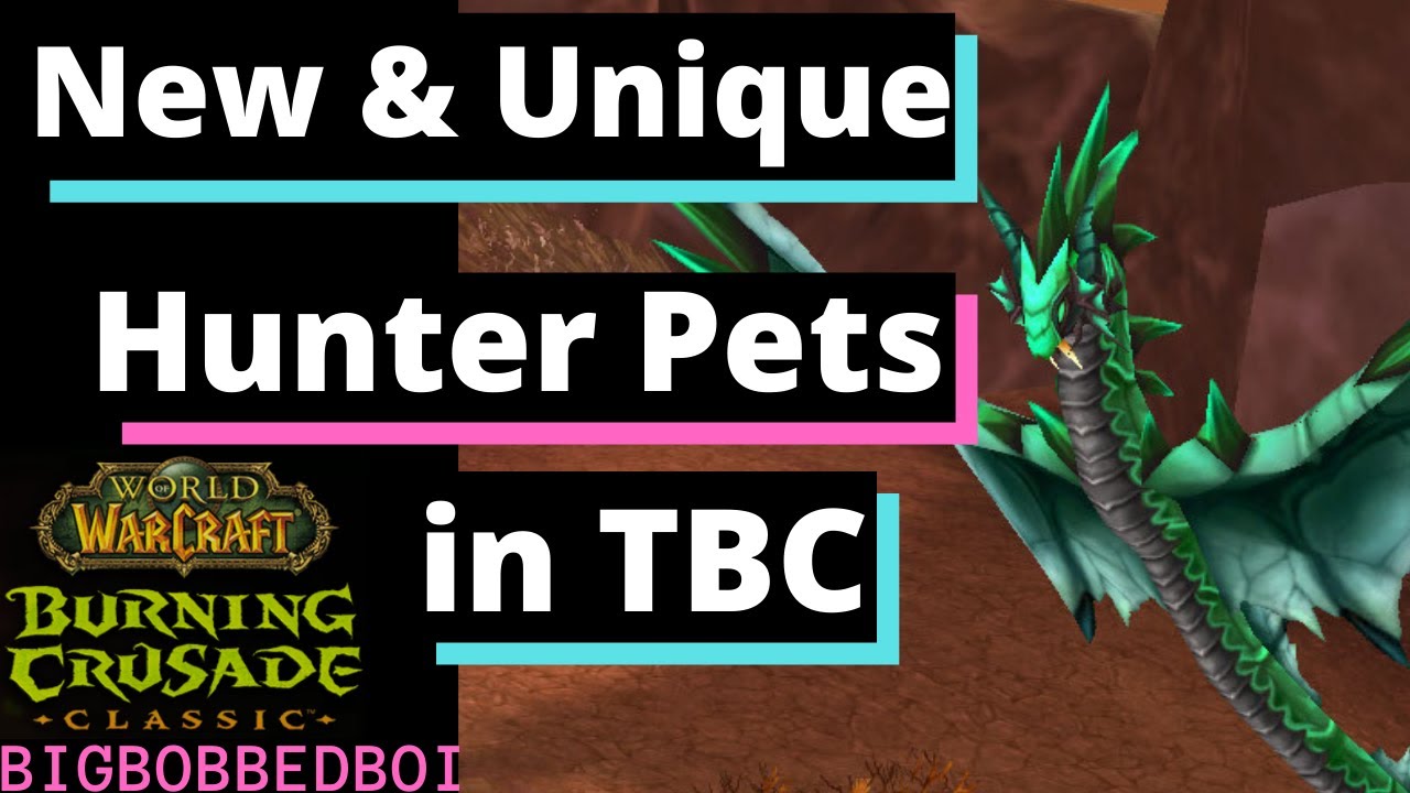 Редкие, уникальные и новые питомцы охотников в Burning Crusade | Руководство охотника по WoW TBC ...