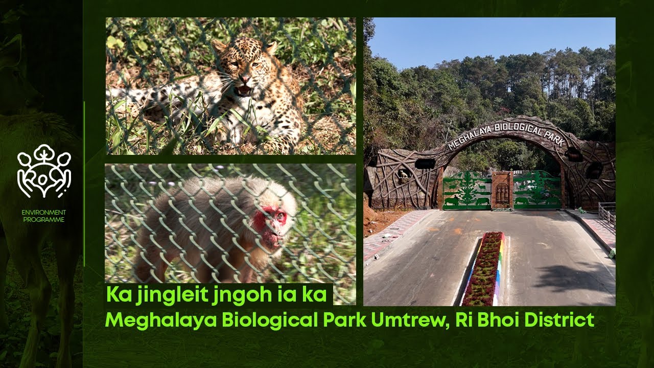 Ka jingleit jngoh ia ka Meghalaya Biological Park Umtrew, Ri Bhoi District