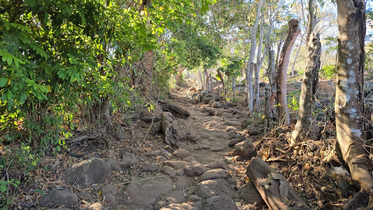 Estos Callejones están llenos de Historias Acompáñenme les Cuento Una 