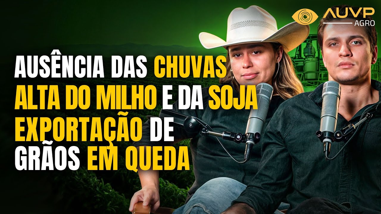 SECA faz milho e soja disparar, exportação de grãos em queda, CRISE nos frigoríficos? e mais!