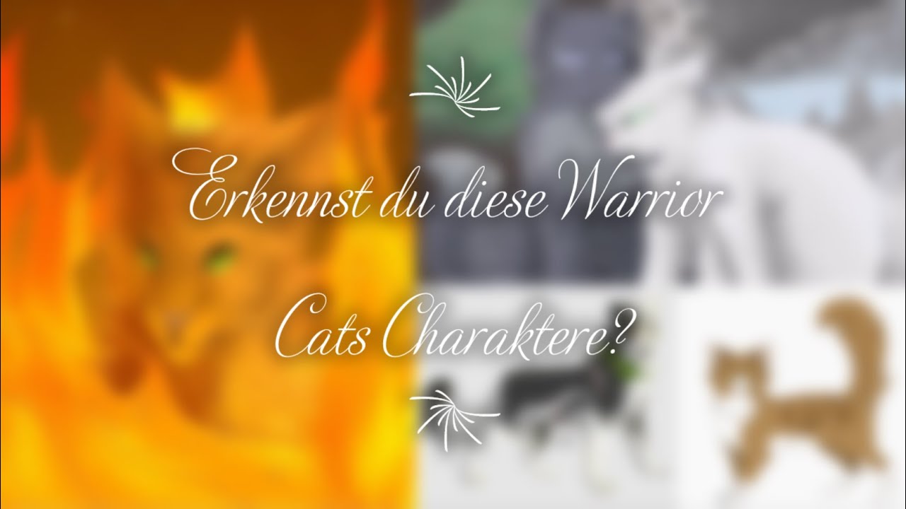 Erkennst du diese Warrior Cats Charaktere? (Wer bin ich)