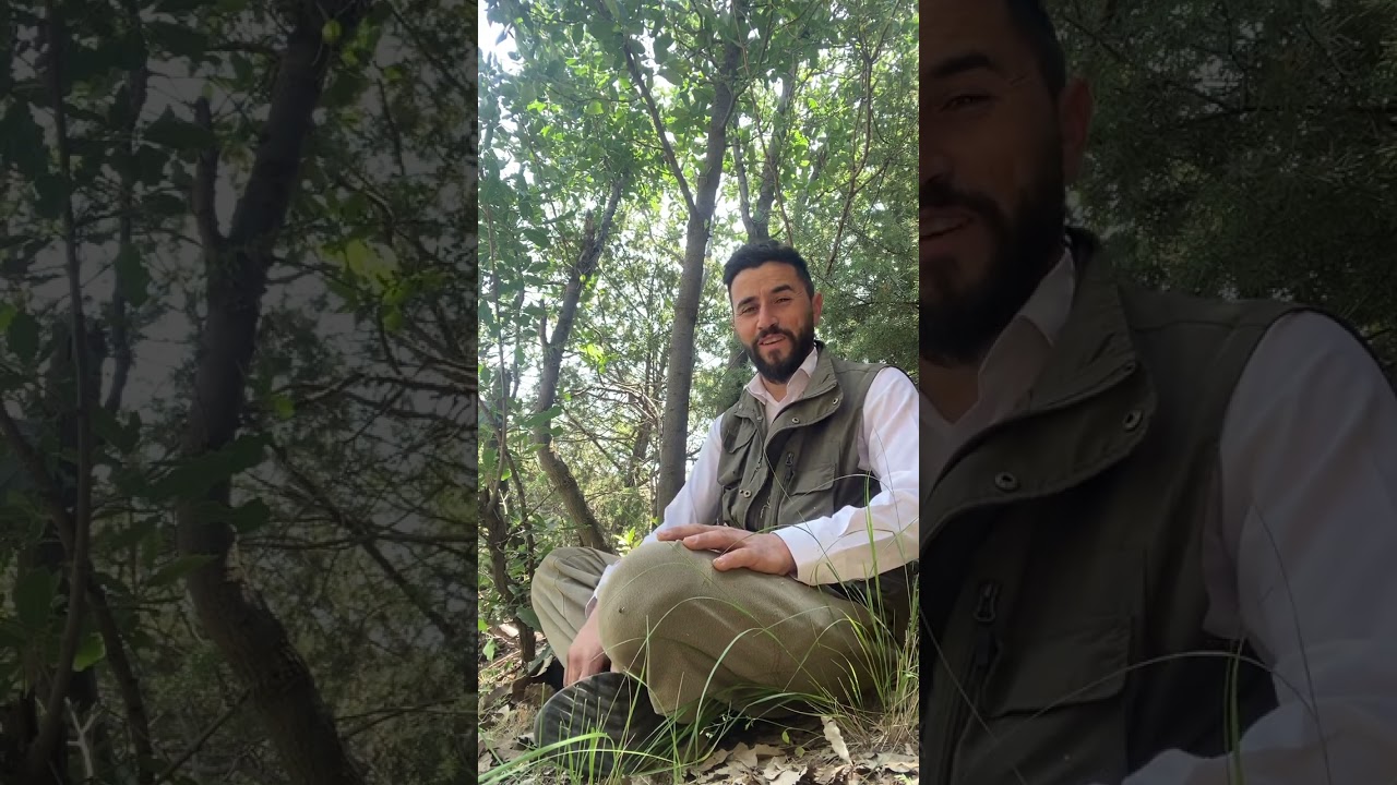 سةرهاتي 🙂