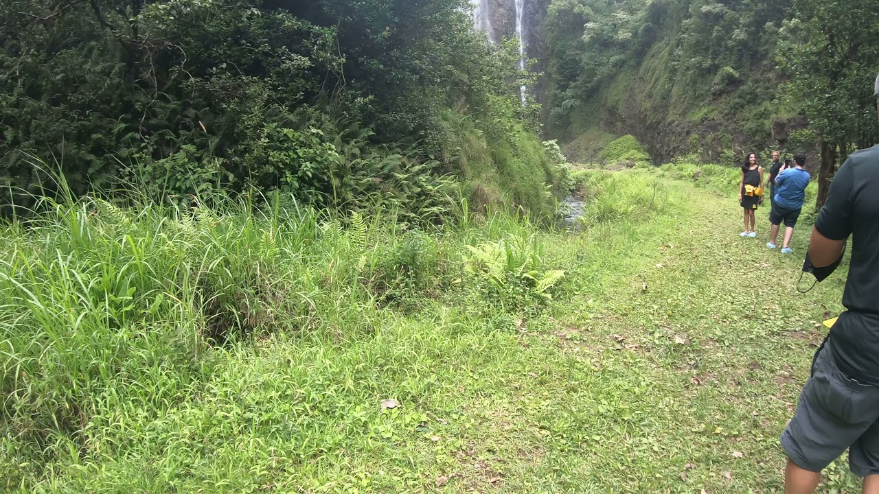 Jurassic Falls Approach Walk