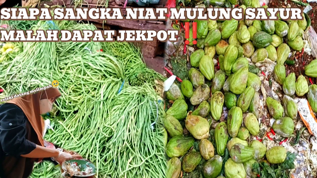 Gak nyangka niat Mulung sayur malah dapat jekpot‼️#mariles #mulung #pasarinduk #stopjudionline
