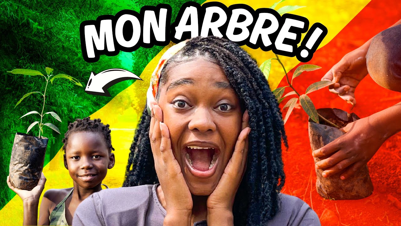 On Plante 500 Arbres Au Congo — Igné, 45 km de Brazzaville (Dans le Pool) 🇨🇬