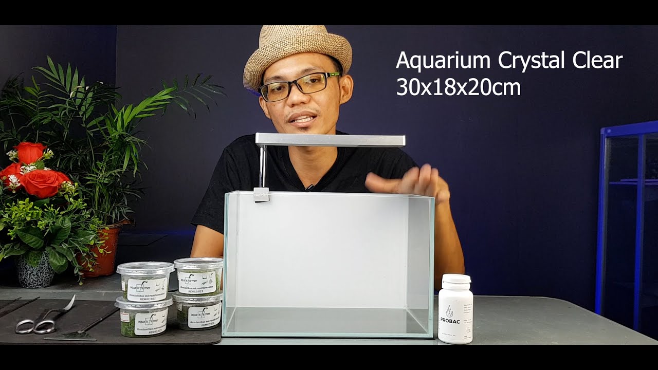Aquascape Nano Tank 30cm