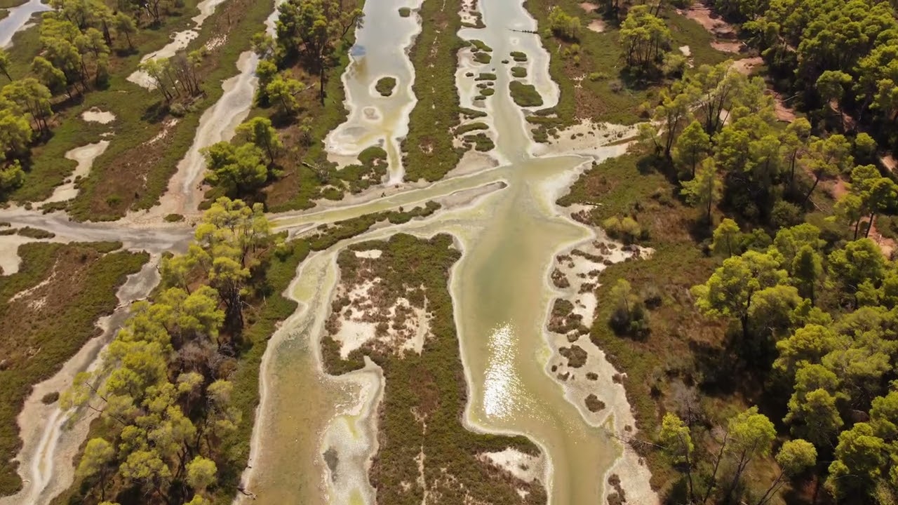 Albania | Karavasta Lagoon 