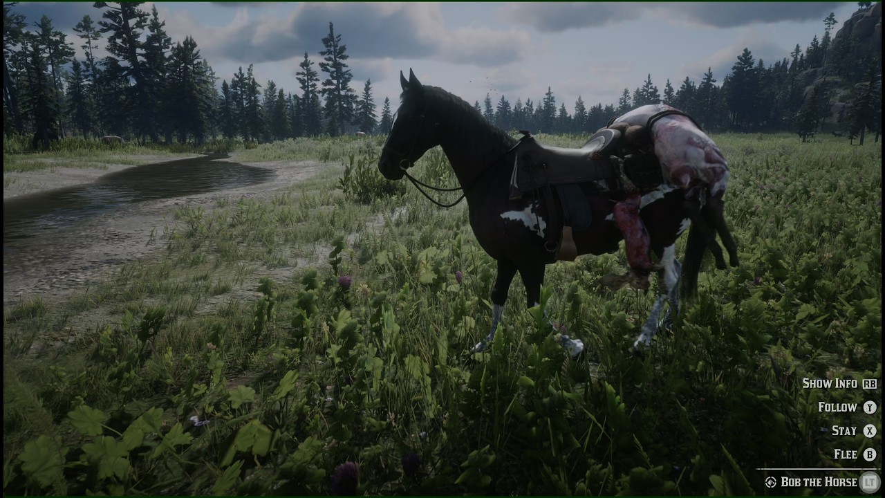 Red Dead Redemption 2 - Deep Playthrough 50 - 4k HDR Zero HUD Max Gfx 1st Person All Gold