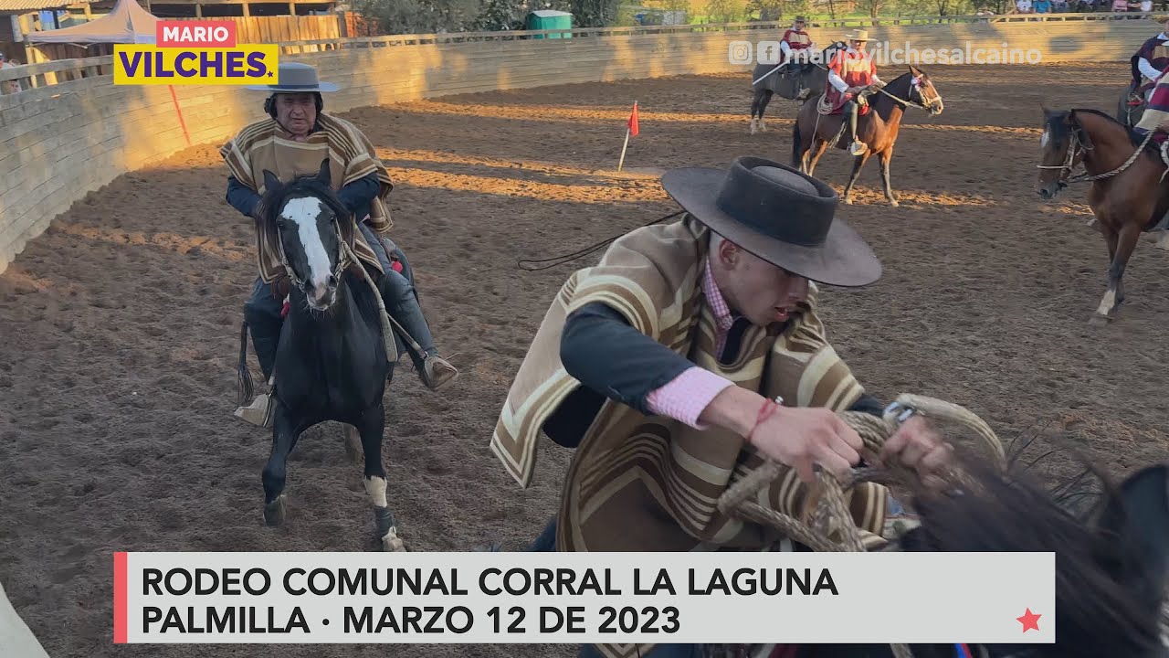 Rodeo comunal, Corral La Laguna #Palmilla 2023