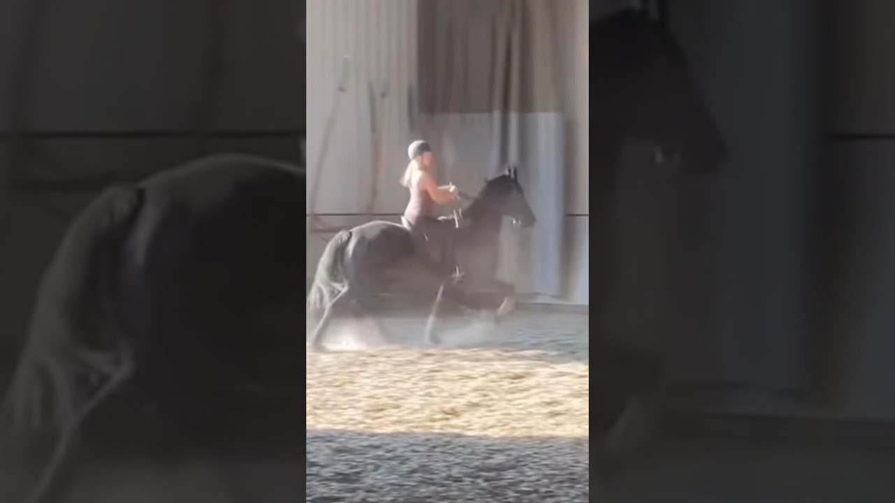 SPEACHLESS!!! 🤩 @Saddle_club_edits #horse #saddle #saddleseat #fyp #shorts