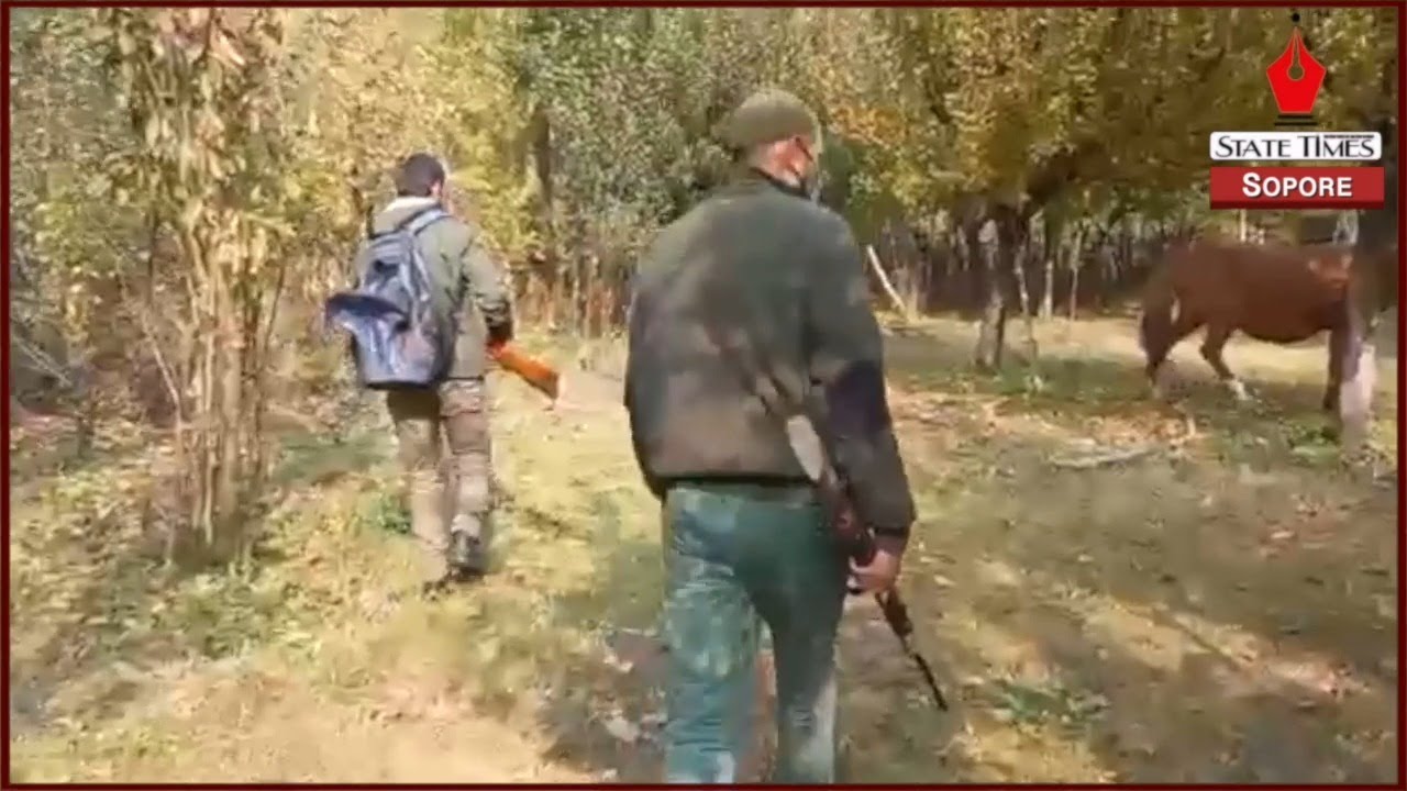 Woman injured in bear attack at Hardushiva Sopore village