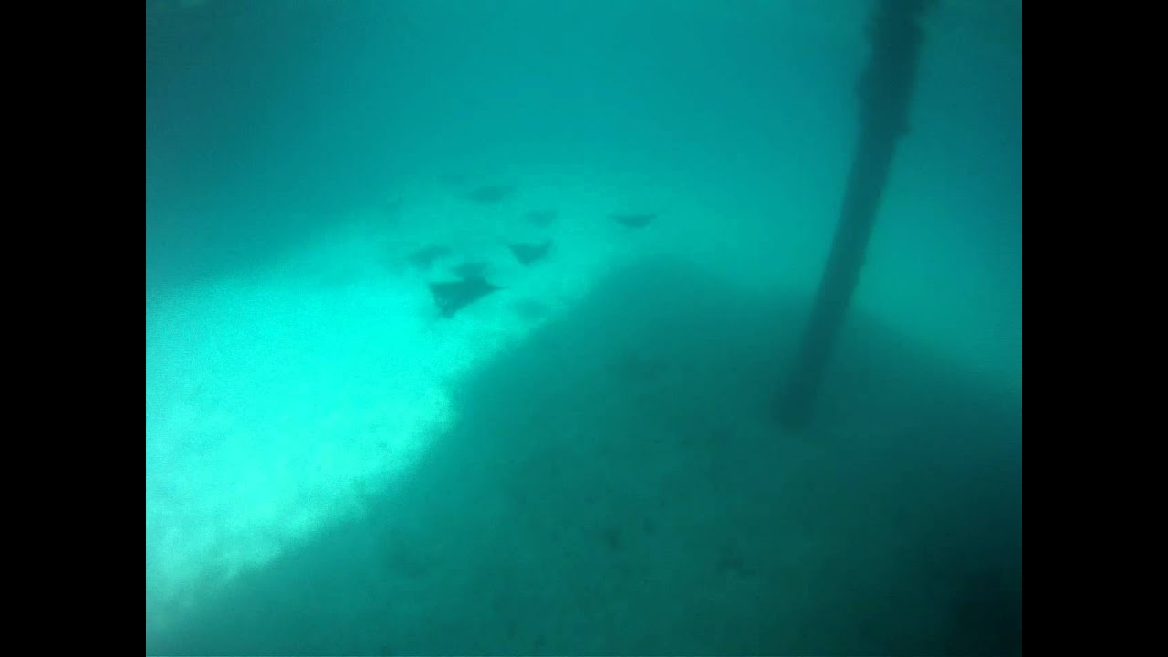 GOPR0112