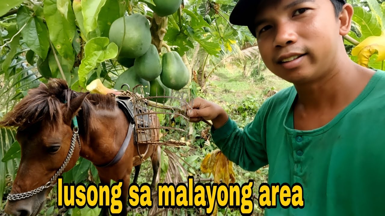 Lusong sa malayong area sakay Kay pula