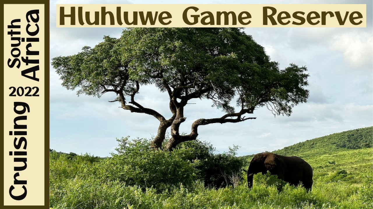 Hluhluwe Game Reserve | Richards Bay, South Africa | Big 5 Game Drive