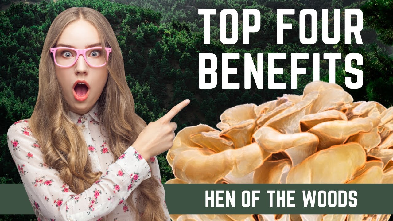 Grifola Frondosa - Maitake Mushrooms - Top Four Health Benefits (Hen-of-the-Woods)