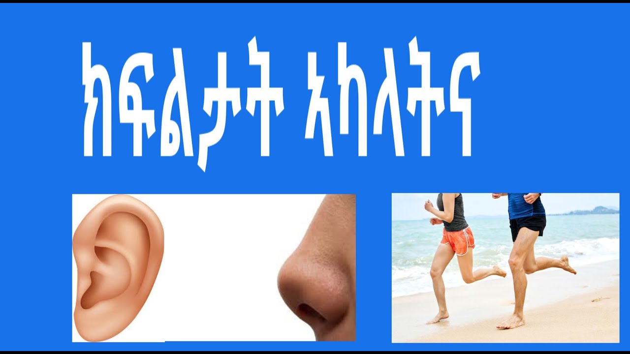 ክፍልታት ኣካላትና