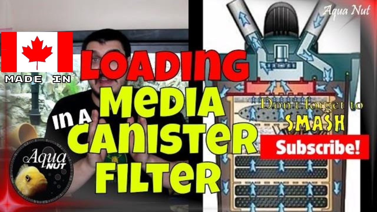 How To Setup Canister Filter | Canister Filter Media Tray Order
