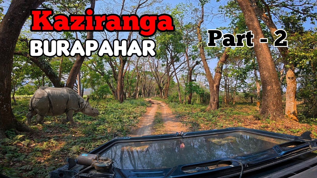 Burapahar ( Kaziranga ) Part 2 || Wildlife Photography Expedition 🌿