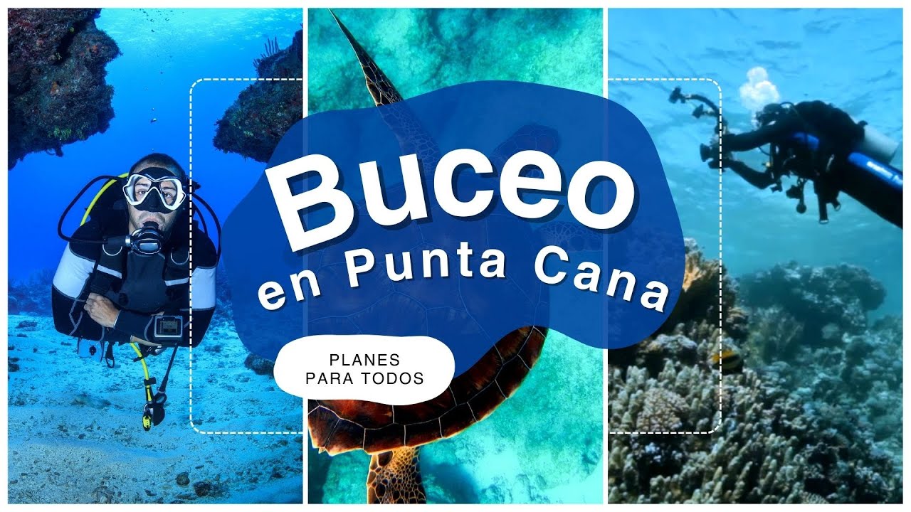 ¿Dónde Bucear en Punta Cana? ¡Aquí te contamos!