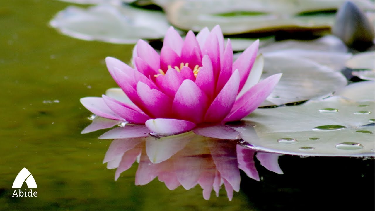 Guided Christian Meditation For Deep Sleep - 8 hrs