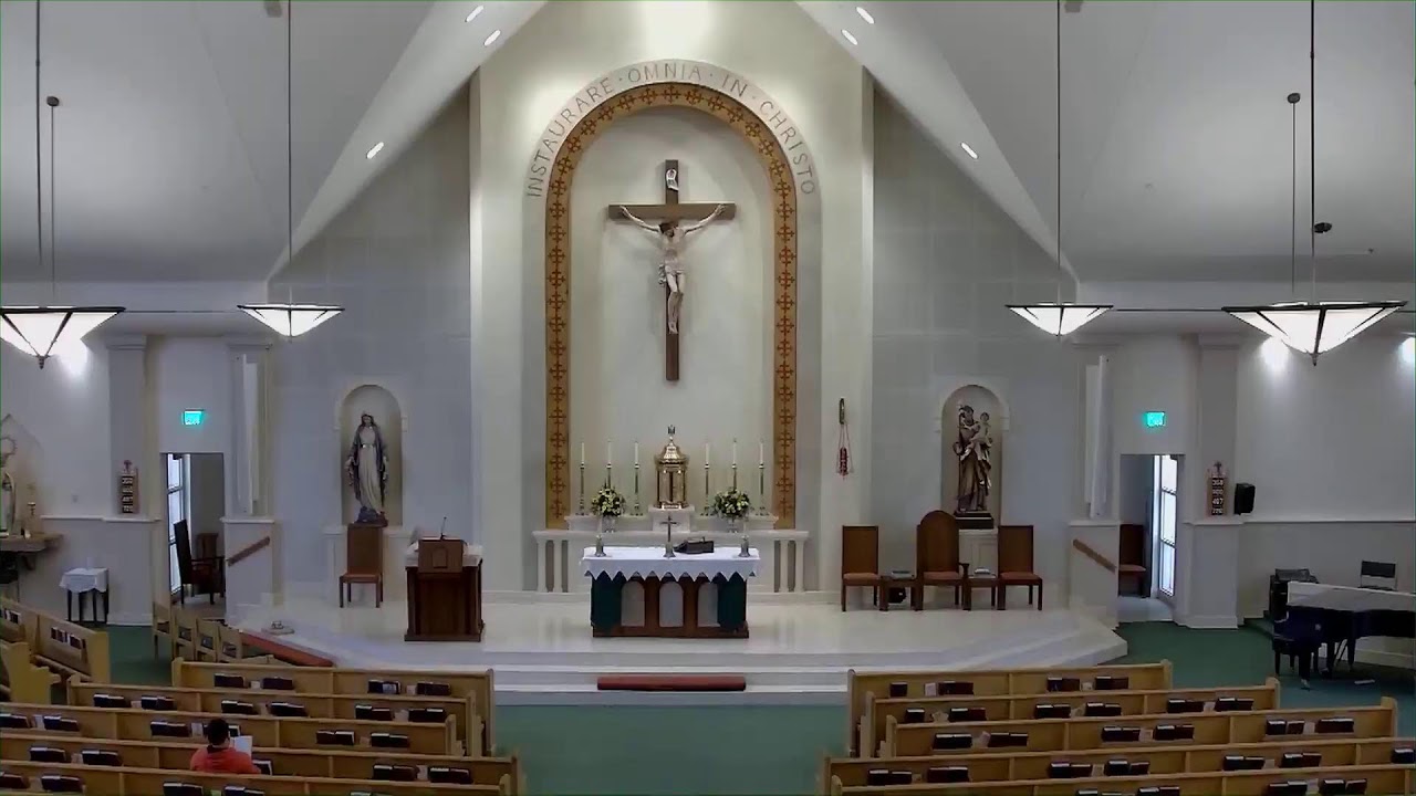 Daily Mass and Adoration