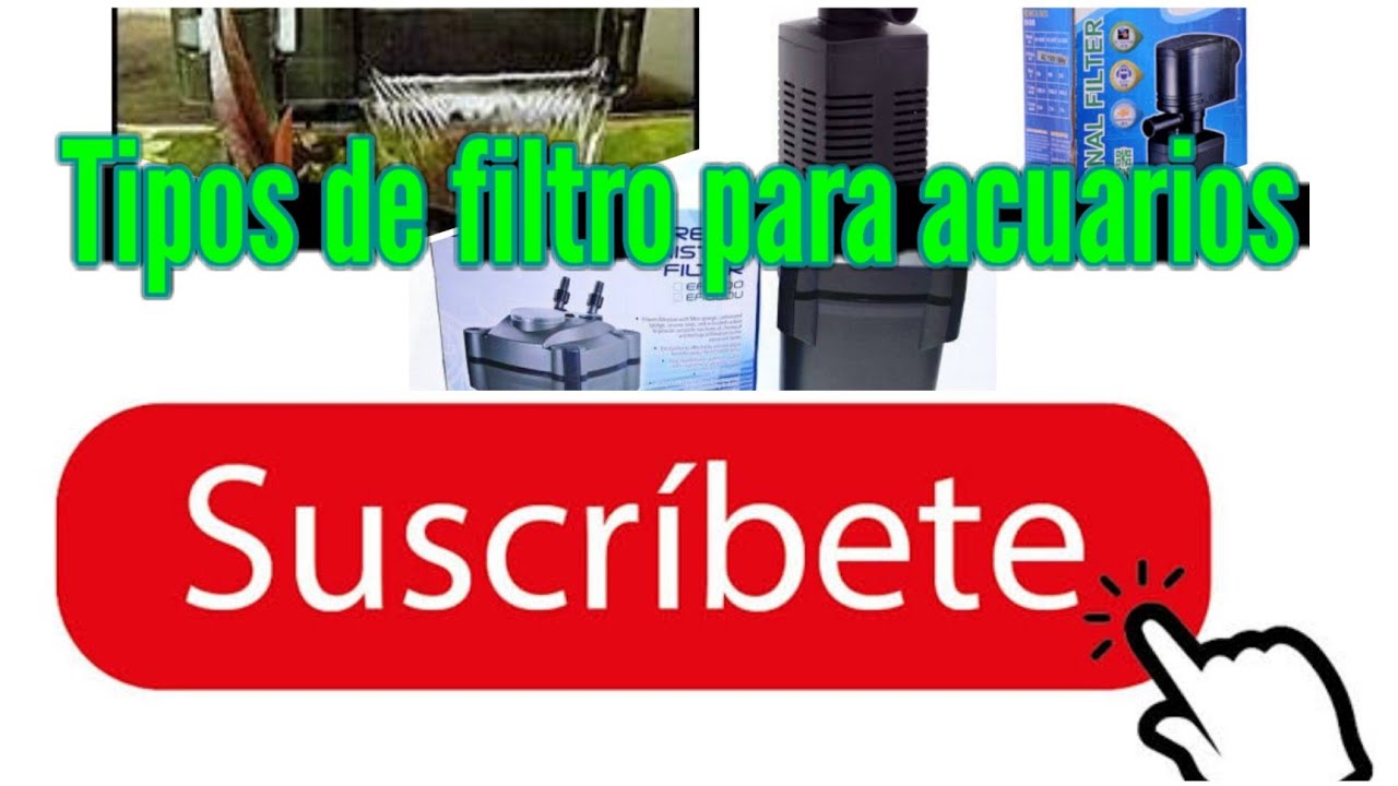 Tipos de filtro para acuarios