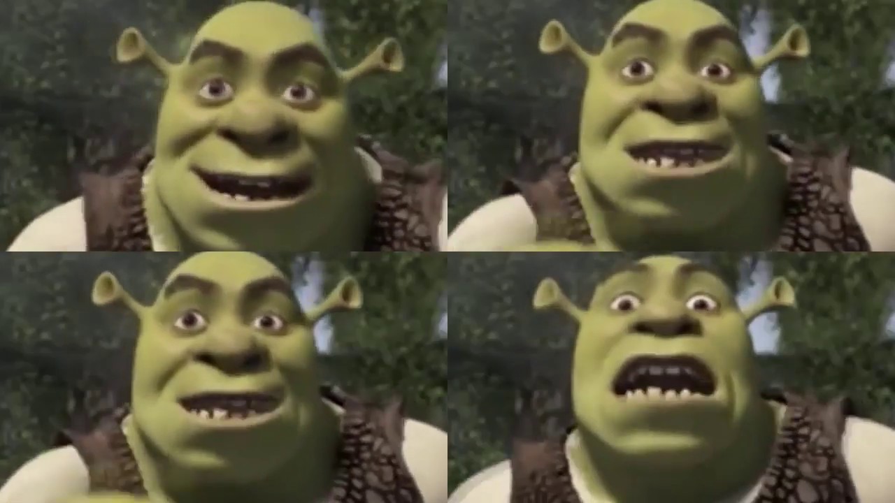 SHREK says 