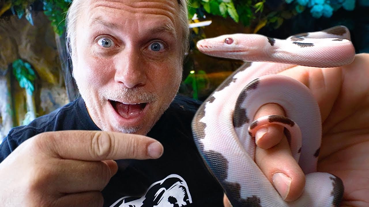 DREAM SNAKE UNBOXING!!! WOW!! | BRIAN BARCZYK