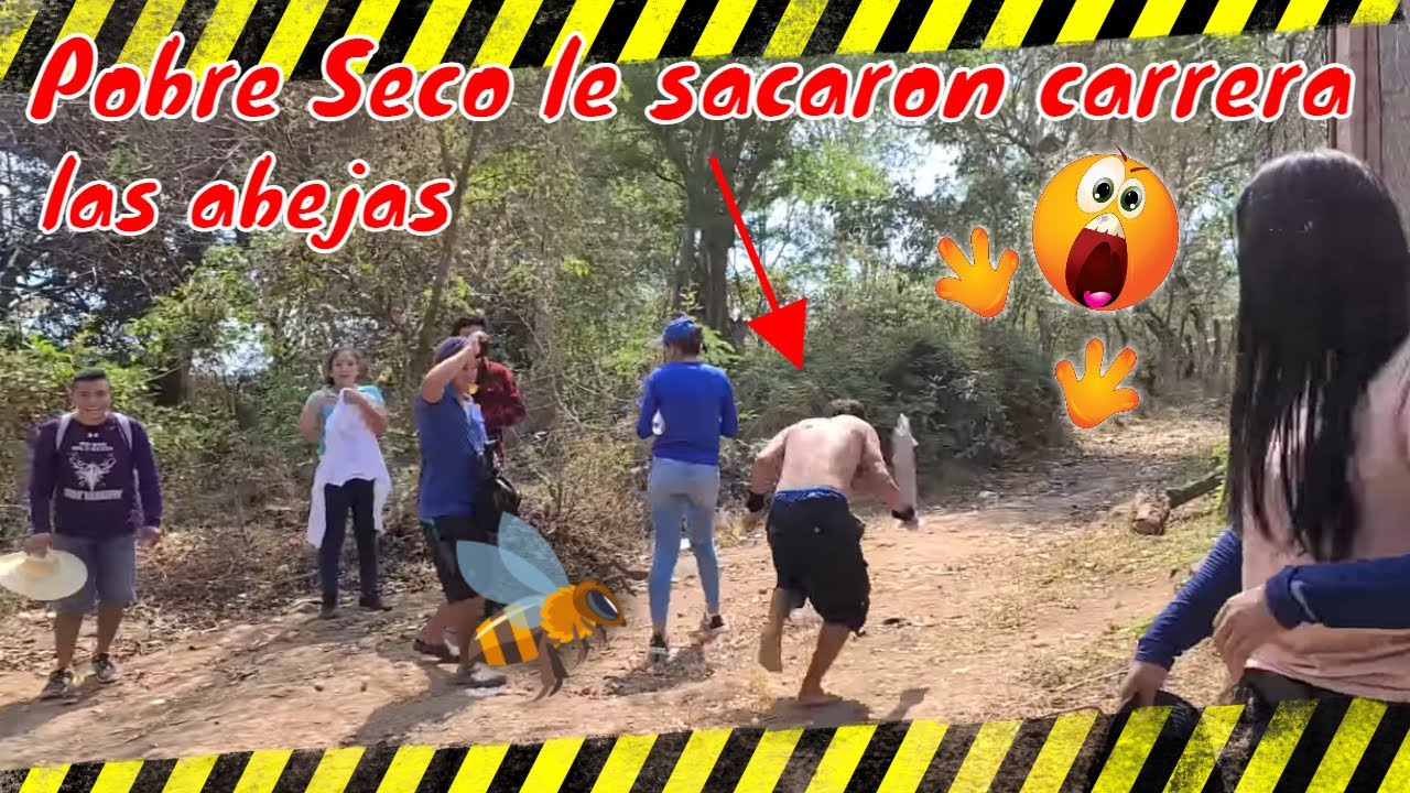 Vean en que parte le picaron las abejas a Bessy🤭 Ahora tendrá mas que enseñar🐝 Parte 10