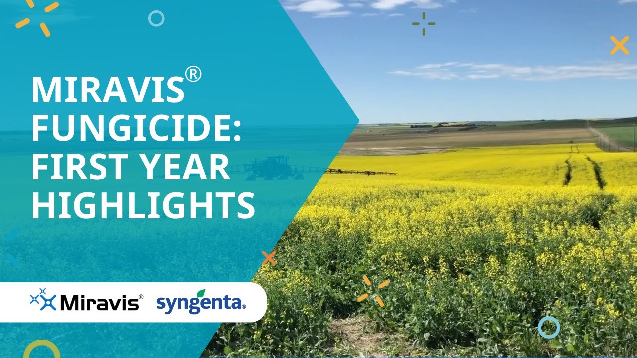Miravis® fungicide: First year highlights