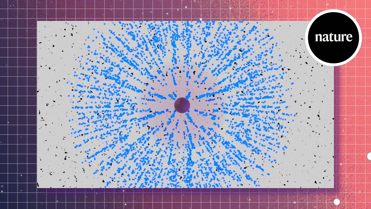 Searching for supernovas