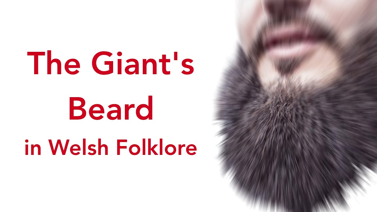 The Giant's Beard in Welsh Folklore with Dr Gwilym Morus-Baird