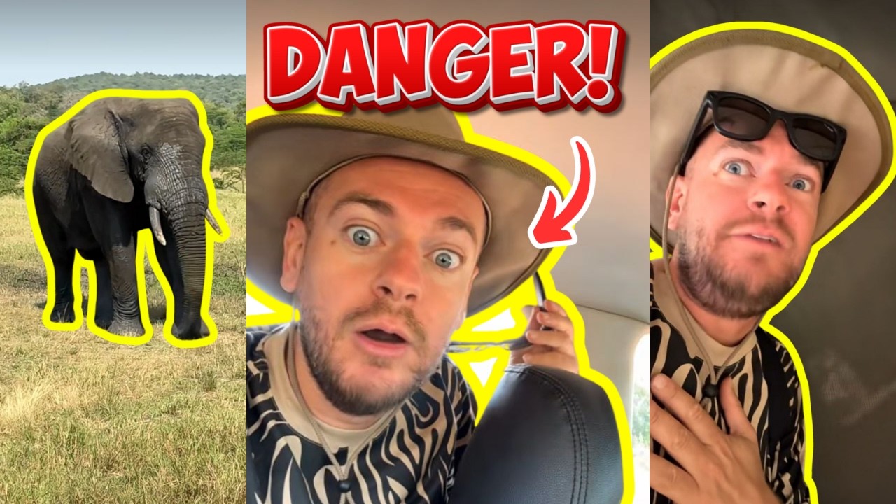 JEREMSTAR J'AI FAILLI ME FAIRE ATTAQUER PAR UN CROCODILE !