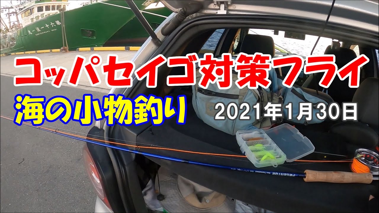 コッパセイゴ対策フライで海の小物釣り2021年1月30日