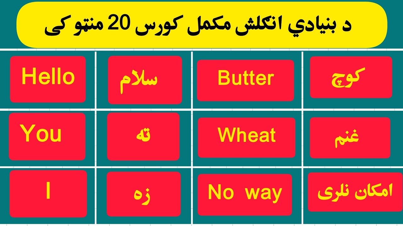 Learn English in 20 Minutes | Daily Conversation, Phrasal Verbs, WH Questions & More 