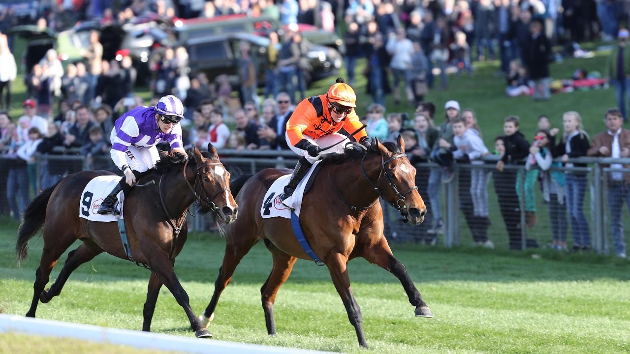 Düsseldorf: Preis der Fortuna, Grand Prix Aufgalopp (Listenrennen) – Sieger: Mighty Mouse