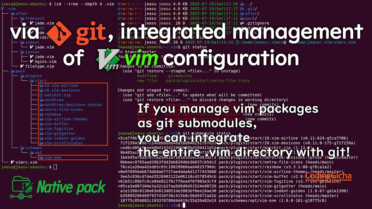 via git, integrated management of vim configuration