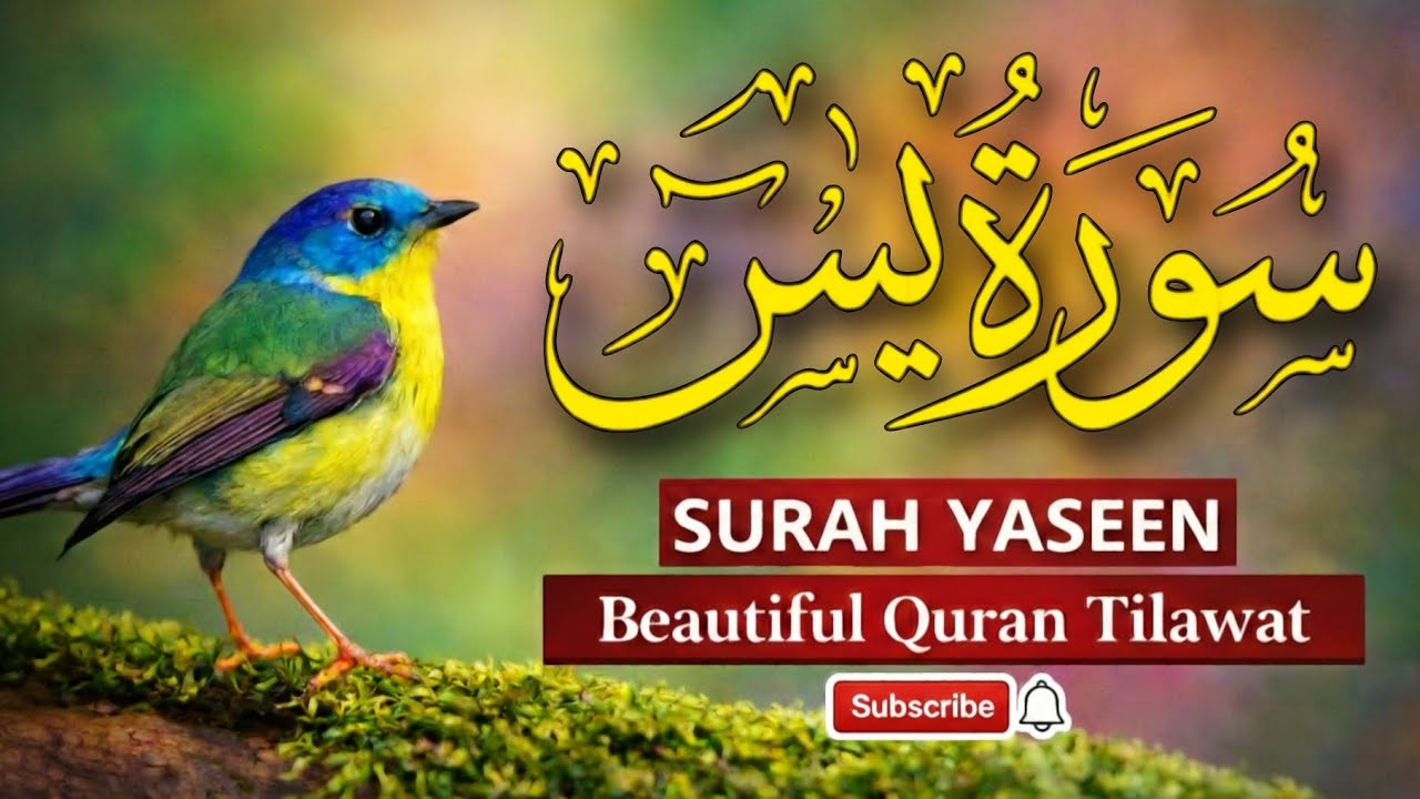 Surah Al-Yaseen Beautiful Quran| Ramadan Mubarak 2026 | Complete Tilawat Makkah Madina Islamic Video