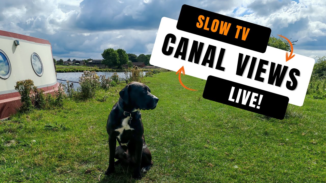 SLOW TV - Serene Canal Live Cam 🌿  Relaxing Waterway View for Stress Relief
