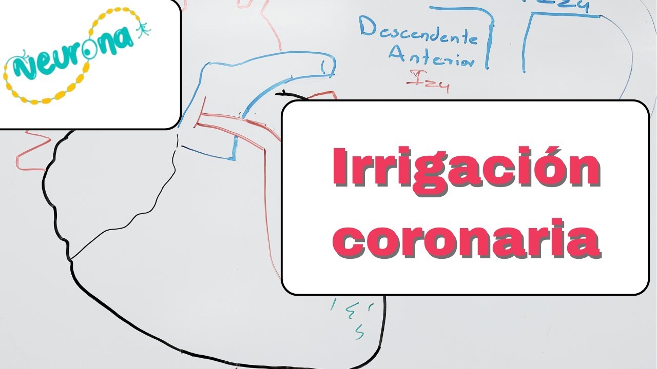 Irrigaci&oacute;n coronaria