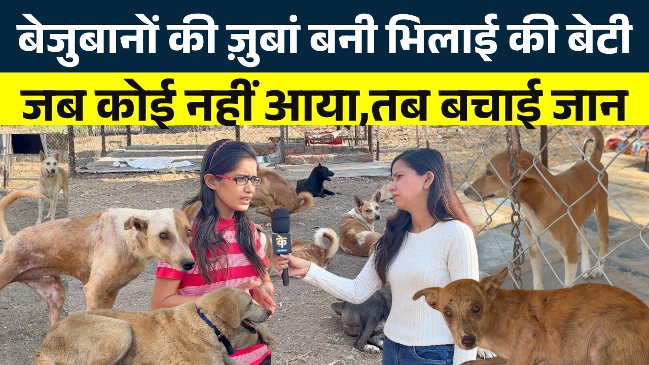 बेजुबानों की ज़ुबां बनी Bhilai की बेटी... जब कोई नहीं आया, तब बचाई जान || KP News || Vasudha