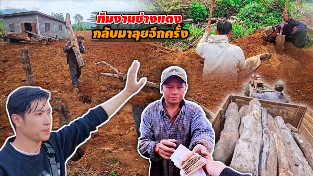 ช่างแดงกับ มาลุยงานอีกครั้ง โค้งสุดท้ายก่อนปลูกกาแฟ 18 มีนาคม ค.ศ. 2026