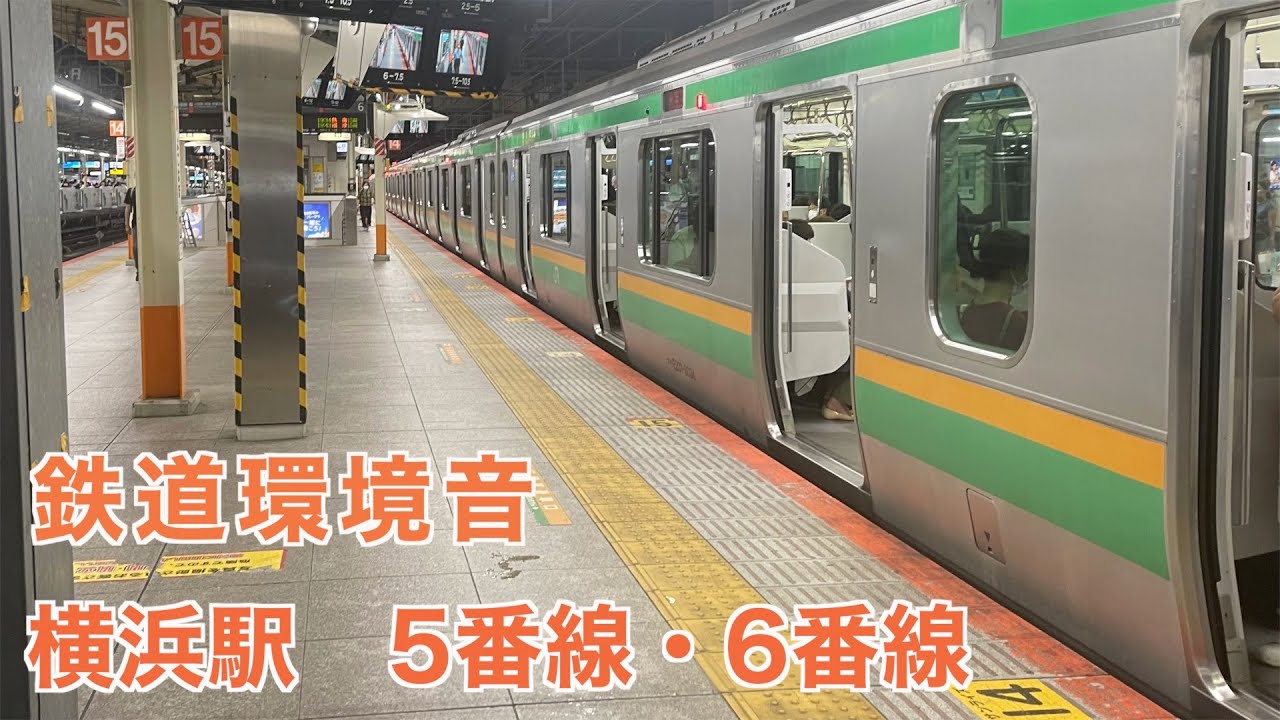 【鉄道環境音】横浜駅　5番線・6番線　バイノーラル録音・立体音響　[Railway ambient sound] Yokohama station binaural recording