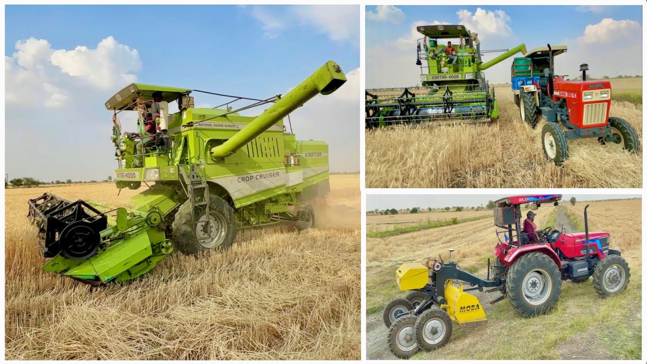 Final Harvesting आज हो गई पूरी गेहूं की कटाई Karata 4000 Combine | Swaraj 855 Fe Mahindra 275 Di XP