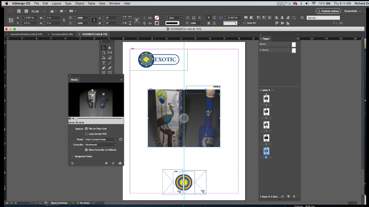 InDesign interactive pdf3 1