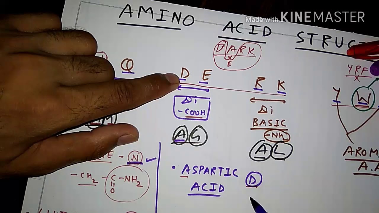 How to Remember Amino Acid Structure- 1 | TCML and ENMEDER