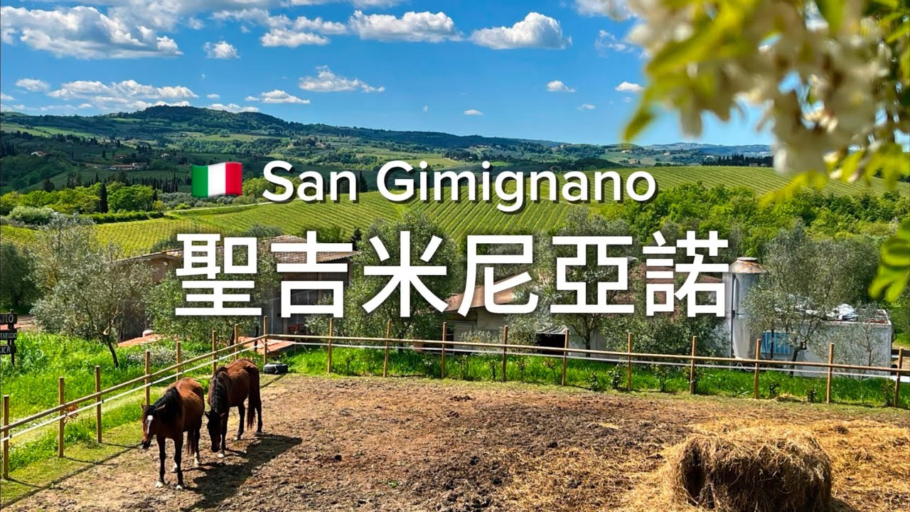 義大利🇮🇹旅行：聖吉米尼亞諾San Gimignano ｜葡萄園農莊午餐｜冰淇淋世界冠軍店Dondoli ｜老城漫步｜主教堂壁畫介紹｜基安蒂與維納恰葡萄酒
